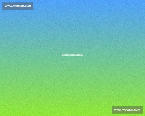 排球比赛积分表分析与排名变化趋势解读