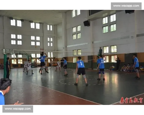 排球比赛规程详解及比赛规则解析助力提升竞技水平