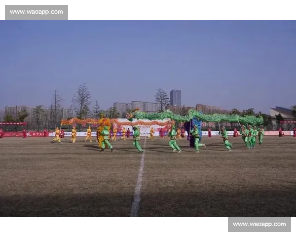 杭州足球盛宴：激情碰撞助力城市发展，成就新时尚体育文化风潮