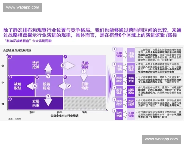 体育职业发展路径与提升策略探索：打造全方位职业素养与技能提升的有效途径