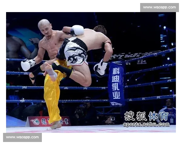 武林风一龙再战强敌精彩对决 展现搏击技巧与顽强斗志